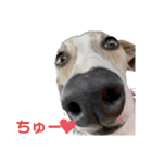 Love days by tito（個別スタンプ：6）