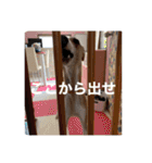 Love days by tito（個別スタンプ：11）