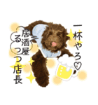 Australian Labradoodle Lutzの日常4（個別スタンプ：2）