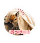 うさぎのおもち＊（個別スタンプ：16）