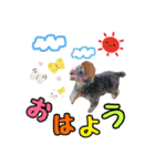 ペッパー君の日常スタンプ（個別スタンプ：8）