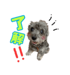 ペッパー君の日常スタンプ（個別スタンプ：12）