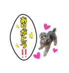 ペッパー君の日常スタンプ（個別スタンプ：13）