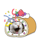 あーゆるきゃっと6（個別スタンプ：6）