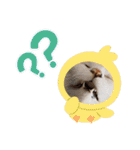 あーゆるきゃっと6（個別スタンプ：10）