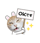 あーゆるきゃっと6（個別スタンプ：12）