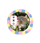あーゆるきゃっと6（個別スタンプ：27）