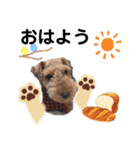 ウェルシュテリア ♡ジェリーさんの1日③（個別スタンプ：1）