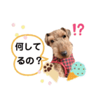 ウェルシュテリア ♡ジェリーさんの1日③（個別スタンプ：2）