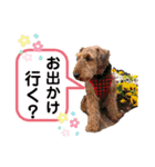 ウェルシュテリア ♡ジェリーさんの1日③（個別スタンプ：7）