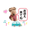 ウェルシュテリア ♡ジェリーさんの1日③（個別スタンプ：8）
