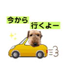 ウェルシュテリア ♡ジェリーさんの1日③（個別スタンプ：10）