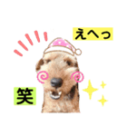 ウェルシュテリア ♡ジェリーさんの1日③（個別スタンプ：11）