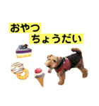ウェルシュテリア ♡ジェリーさんの1日③（個別スタンプ：12）
