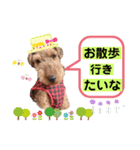 ウェルシュテリア ♡ジェリーさんの1日③（個別スタンプ：13）
