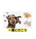 ウェルシュテリア ♡ジェリーさんの1日③（個別スタンプ：20）