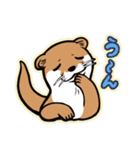 かわうそとたぬき（個別スタンプ：3）
