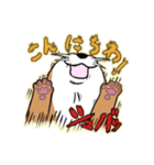 かわうそとたぬき（個別スタンプ：5）