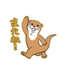 かわうそとたぬき（個別スタンプ：7）