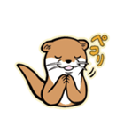 かわうそとたぬき（個別スタンプ：16）
