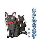 ブラックスモーク猫ズ1（個別スタンプ：3）
