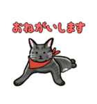 ブラックスモーク猫ズ1（個別スタンプ：4）