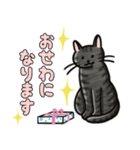 ブラックスモーク猫ズ1（個別スタンプ：7）