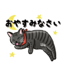 ブラックスモーク猫ズ1（個別スタンプ：9）