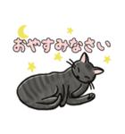 ブラックスモーク猫ズ1（個別スタンプ：10）