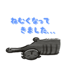 ブラックスモーク猫ズ1（個別スタンプ：11）