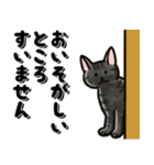 ブラックスモーク猫ズ1（個別スタンプ：12）