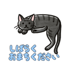 ブラックスモーク猫ズ1（個別スタンプ：13）