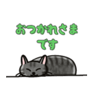 ブラックスモーク猫ズ1（個別スタンプ：16）