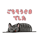 ブラックスモーク猫ズ1（個別スタンプ：18）