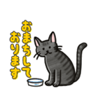 ブラックスモーク猫ズ1（個別スタンプ：19）