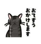 ブラックスモーク猫ズ1（個別スタンプ：21）
