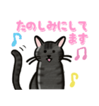 ブラックスモーク猫ズ1（個別スタンプ：23）