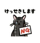 ブラックスモーク猫ズ1（個別スタンプ：24）