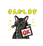 ブラックスモーク猫ズ1（個別スタンプ：25）