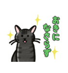 ブラックスモーク猫ズ1（個別スタンプ：27）