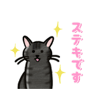 ブラックスモーク猫ズ1（個別スタンプ：28）