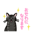 ブラックスモーク猫ズ1（個別スタンプ：29）