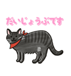 ブラックスモーク猫ズ1（個別スタンプ：30）