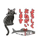 ブラックスモーク猫ズ1（個別スタンプ：35）