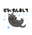 ブラックスモーク猫ズ1（個別スタンプ：39）
