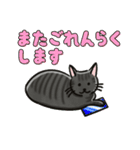ブラックスモーク猫ズ1（個別スタンプ：40）