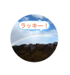 情景スタンプ（個別スタンプ：6）