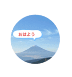 情景スタンプ（個別スタンプ：7）