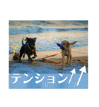 ラブラドール·レトリバー兄弟遊戯·ラブ翼（個別スタンプ：36）