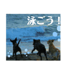 ラブラドール·レトリバー兄弟遊戯·ラブ翼（個別スタンプ：40）